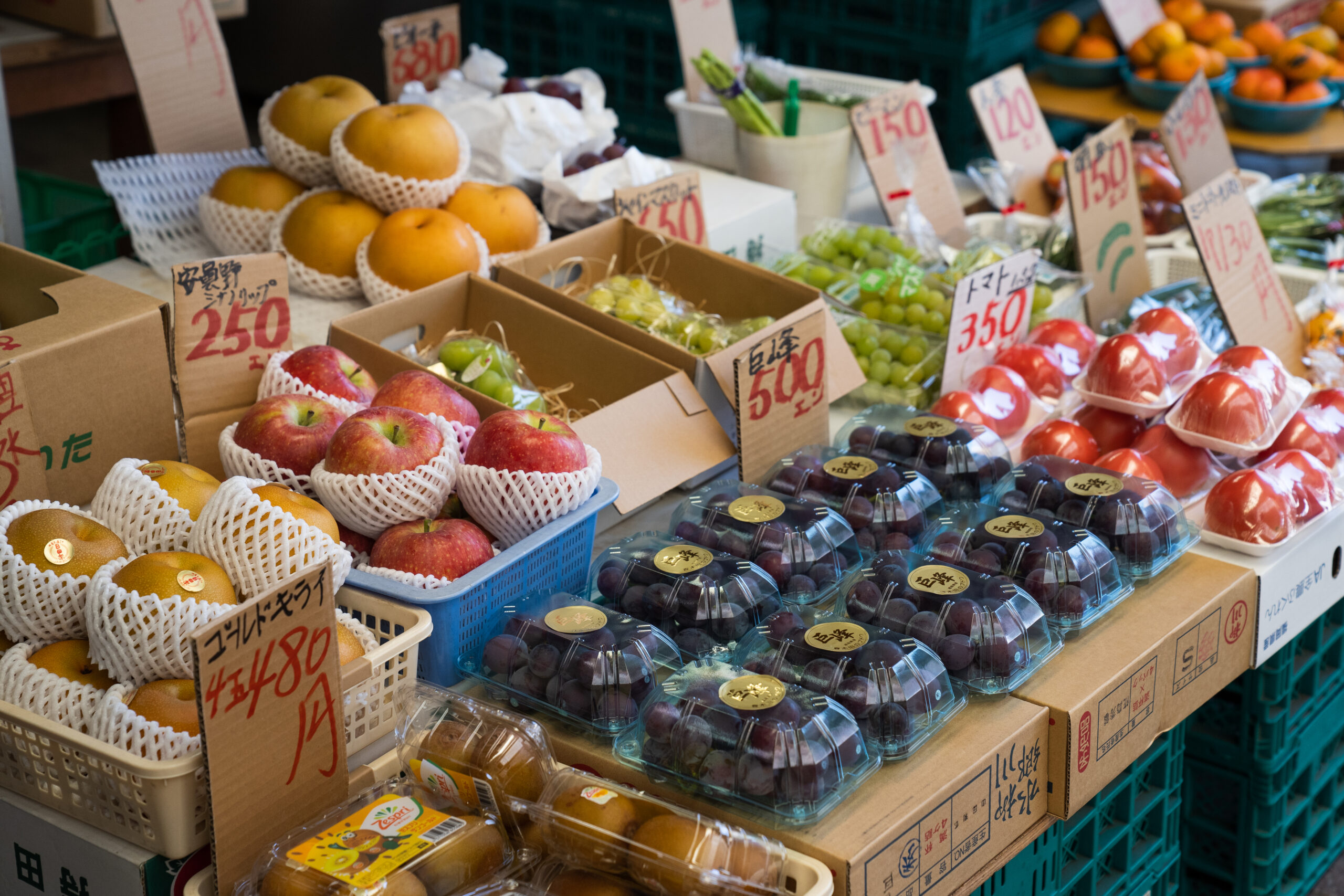 唐人町商店街_お店