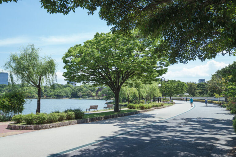 大濠公園_遊歩道