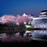 ［公式］福岡城さくらまつり