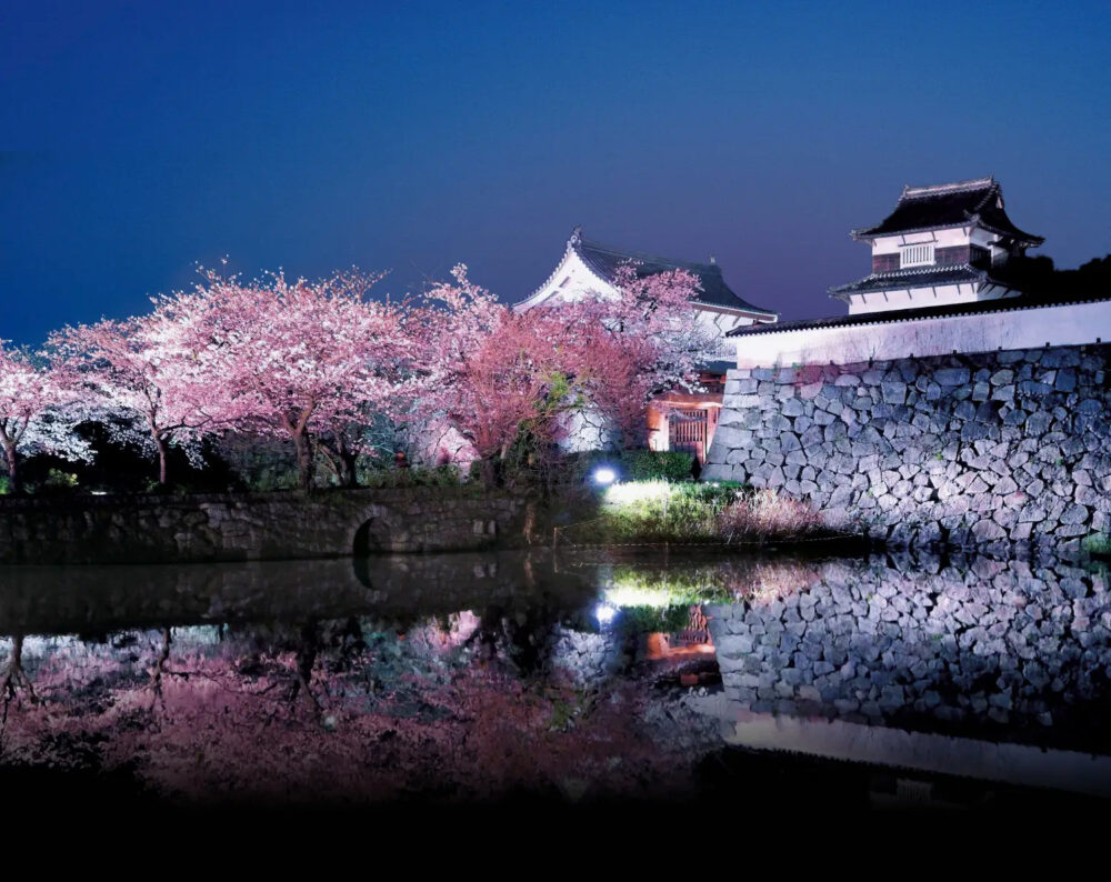 ［公式］福岡城さくらまつり